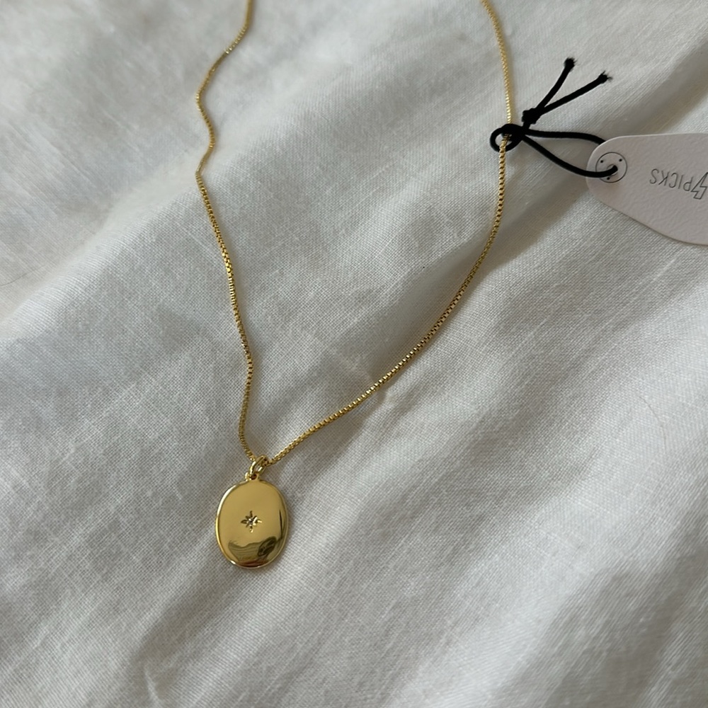 NEW electric picks necklace